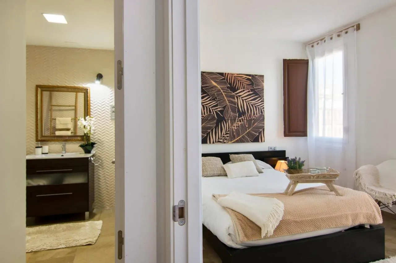 Apartamento Plaza Ayuntamiento Granada Habitame Inmobiliaria